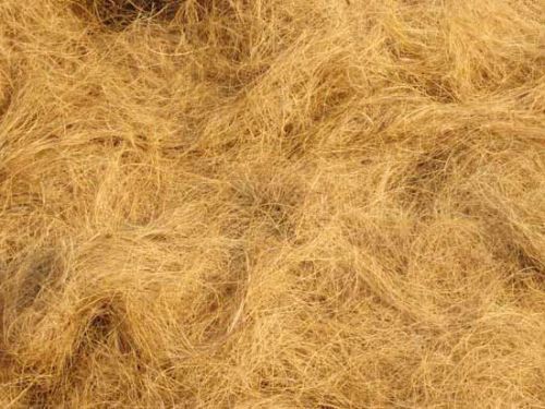 Coir Fiber, For Filling Material, Color : Brown