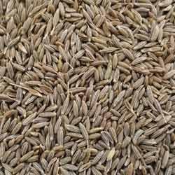 Cumin Seeds, For Cooking, Style : Dried