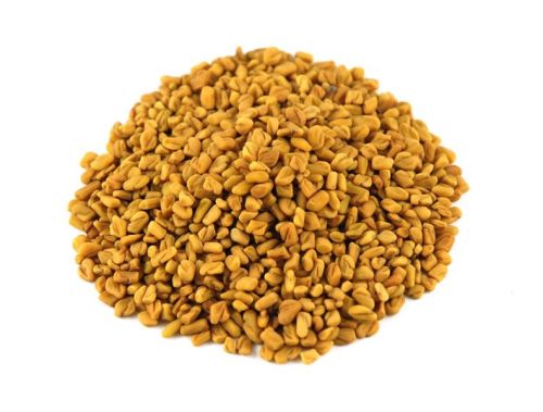 Natural Fenugreek Seeds, Packaging Size : 100gm, 10kg, 1kg, 5kg