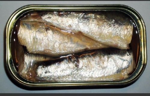 Best Canned Sardine From Morocco In Oil