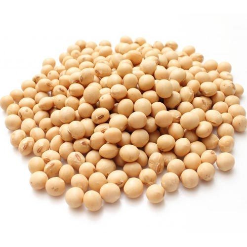 Organic Fresh Soybean Seeds, For Human Consumption, Animal Feed, Cooking, Flour, Style : Dried