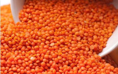 Organic Red Lentils, Shelf Life : 1year