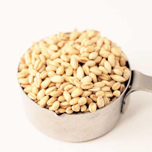 Organic Soft White Wheat, For Food, Packaging Size : 25-50kg