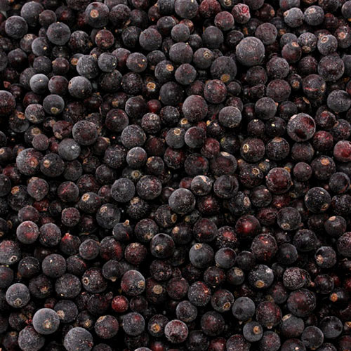 IQF Whole Blackcurrants, Packaging Type : Cartons
