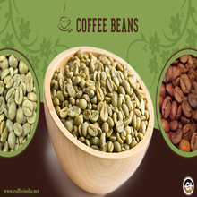 Buyer's Brand Arabica Green Coffee Bean