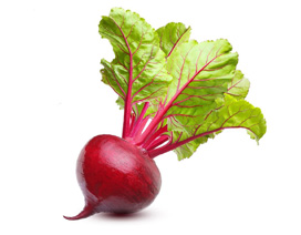 Organic Fresh Beetroot, For Culinary, Feature : High Fiber Food, Prevent Diabetes Fat