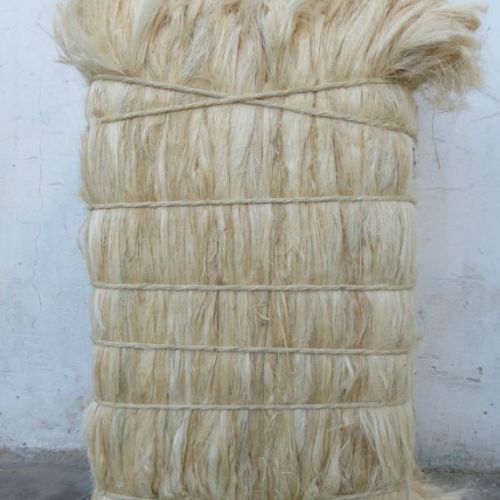 Sisal Fiber, Packaging Size : 5- 25 Kg for Filling Material