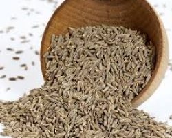 Cumin Seeds, For Cooking, Color : Brown