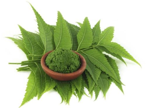 Fresh Organic Neem Leaves and Powder