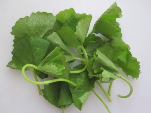 Vallarai Leaves Powder