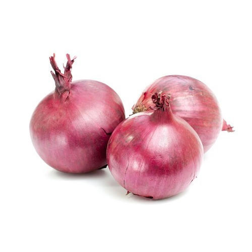 Common Pink Onion, Color : Light Red, Red