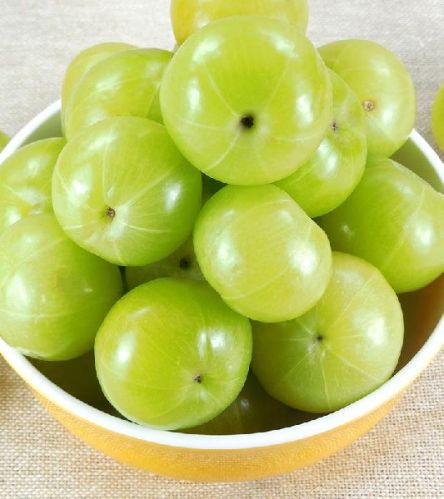 Fresh Amla, Packaging Size : 1kg