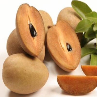 Common Fresh Sapodilla, Taste : Sweet