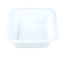 Plastic SQuare PANIPURI BOWL