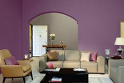 Paint & Polishing Services