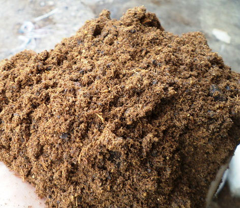Palm Kernel Cake, Packaging Type : 25kg/bag