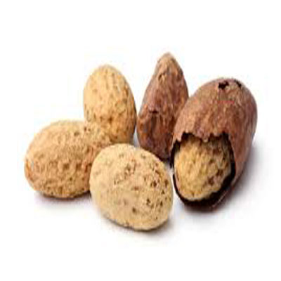 Bitter Kola Nuts, Moisture : 12%