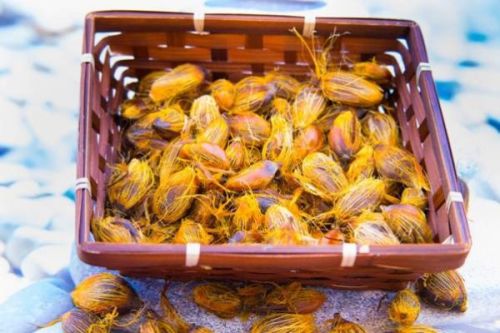 Palm Kernel Nuts, Packaging Type : In jute sacks