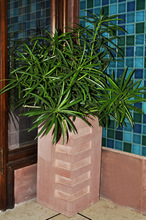 Lal Haveli Carved Home Decorative Stone Pot, Color : Brown