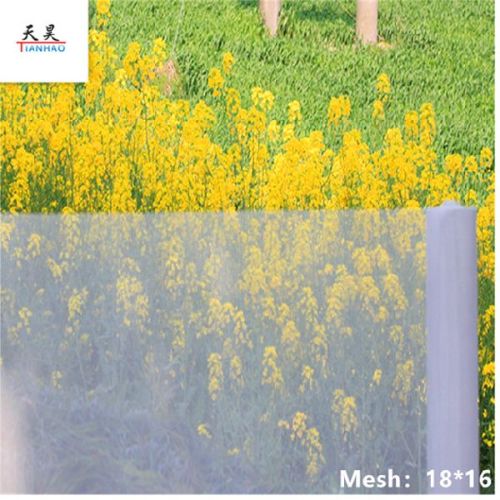 Plain Fibreglass Fiberglass Window Screen, Brand Name : Tianhao