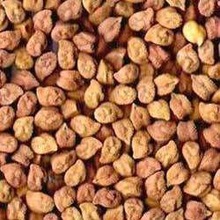 Common Chick Peas