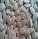 SAVISORTEX Water Melon Seed