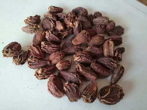 Black Cardamom, Style : Dried