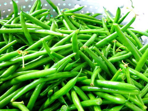 Organic Green Beans