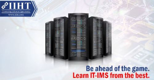 Professional it services