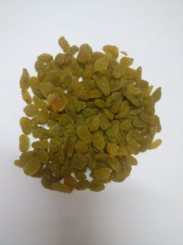 Organic Kashmiri Raisins, Packaging Type : Vacuum Bag