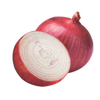 Onion