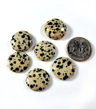 Dalmation Jasper Cabochon