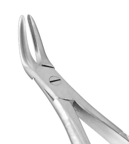 Polished Stainless Steel English Pattern Extracting Forceps