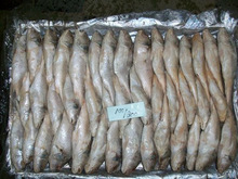 Croaker, Certification : BRC, EEC, HACCP, HALAL, ISO