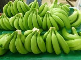 Organic Fresh Green Banana, Feature : Absolutely Delicious, Easily Affordable, Healthy Nutritious, High Value