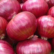 Organic Fresh Red Onion, Shelf Life : 1month