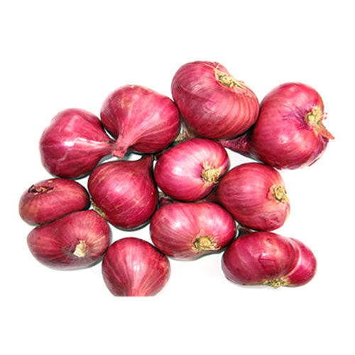 Small Red Onion, Shelf Life : 15-30days
