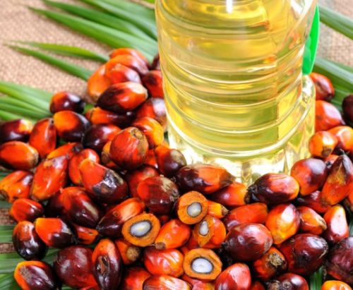 Crude palm oil, Packaging Size : 1 Litre, 5 Litre, 2L, 5L, 1litres