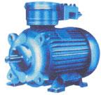 `REEJA FLAME PROOF MOTORS