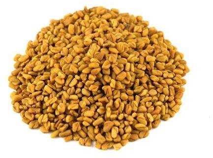 Common Fenugreek Seeds, Shelf Life : 3months, 6months