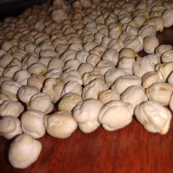 High Quality White Dried Chickpeas, Size : 12