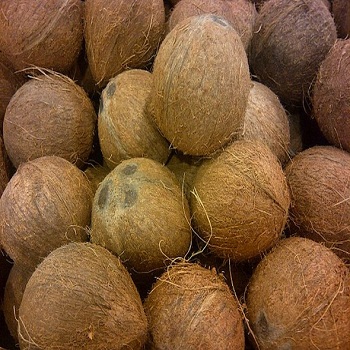 SPE Semi-Husked Common Matured Semi Husked Coconut, Color : Brown