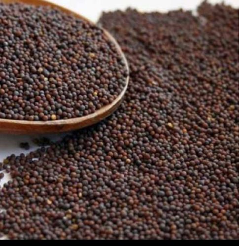 Organic Mustard Seed, Packaging Type : Plastic Bag
