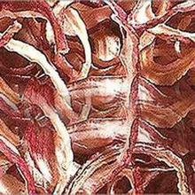 Dehydrated Onion, Packaging Type : Bulk