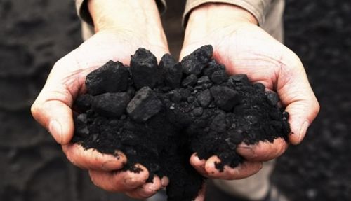 Coal, Packaging Type : Loose