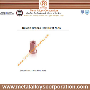 Silicon Bronze Hex Rivet Nut