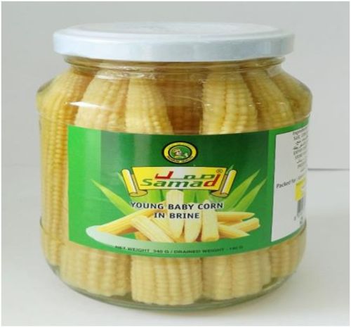 Baby Corn, Brand Name : Samad, Packaging Type : Mason Jar