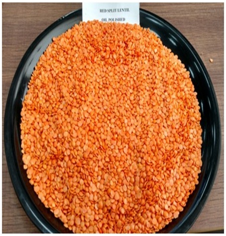 Common Red Split Lentil