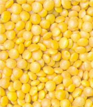 Common toor dal, Packaging Type : yellow