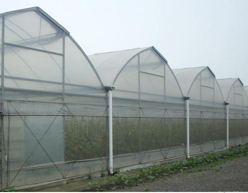 Insect Net Greenhouse, Size : 3.6 Mtr, 3mtr, 4.2 Mtr.